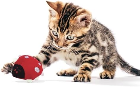 Catnip & Silvervine Plush Cat Toy for Kittens - Lady Bug