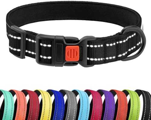 Reflective Dog Collar, Quick-Release Buckle (Black, 12-16 Inch)