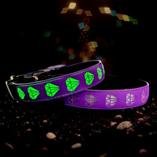 Light Up Glow Dog Collar with AirTag Holder, 15 Color Modes,