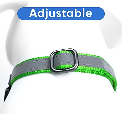 Pawtitas Personalized Dog Collar Martingale Dog Collar with Name Phone Number Reflective Martingale Dog Collar Customized Collar for Small Dogs | Green Custom Dog Collars for Small Dogs