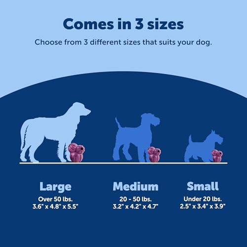 PetSafe Busy Buddy Barnacle Treat Dispensing Dog Toy, Large | 3 Treat Meter Prongs Randomly Dispense Kibble, Bone-Shaped Grooves Hold Spreadable Treats Like Peanut Butter