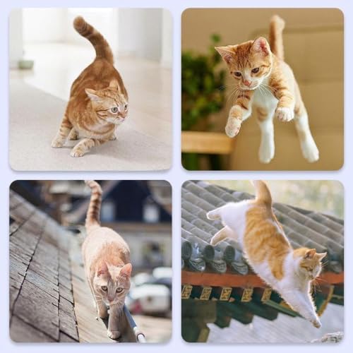 Cat Door Gate Indoor Retractable Safety Mesh Barrier