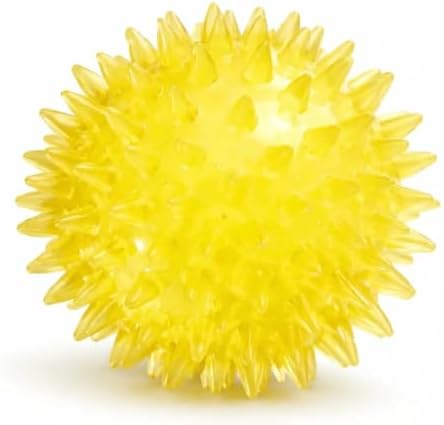 Squeaky Spiky Dog Ball 2.5 Inch for Small Medium Dogs (Color Varies), Teeth Cleaning & Gum Massage, Spiny TPR Rubber Chew Toy for Fetch Play, Interactive Bouncy Dental Ball, Durable BPA Free