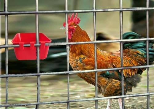Hanging 16 OZ Cage Cup 20 PCS Chicken Feeder Waterer Bird Food Dishes Rabbit Water Pigeon Feeding Watering Bowl with Hooks Bunny Poultry Coop Drinker Duck Quail Seed Treats Dispenser