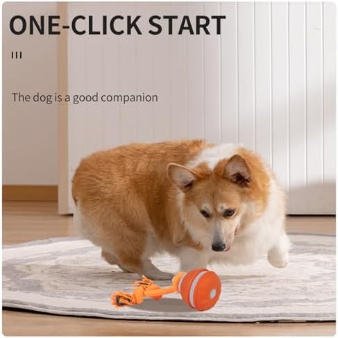 Interactive Dog Toys Dog Ball,Automatic Rolling and Bouncing Moving Dog Toy