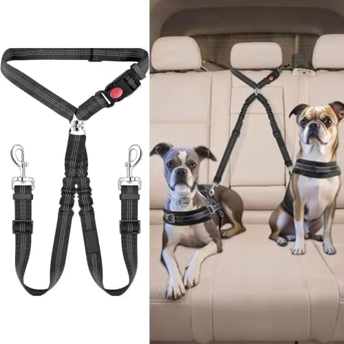 Dual Dog Car Seat Belt Leash for Smart Fortwo