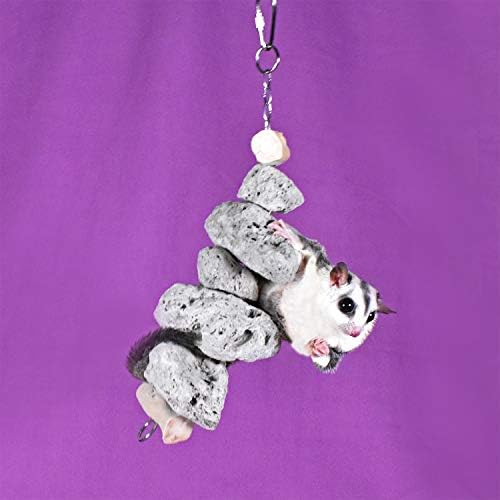 Exotic Nutrition Chew Toy Bundle - Natural Interactive Chew Toys - Chinchillas, Guinea Pigs, Hamsters, Rabbits, Degus, Prairie Dogs, Small Pets