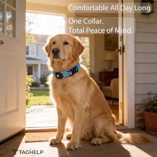 Tactical Airtag Dog Collar Waterproof - Adjustable Nylon Training Collar with Secure Airtag Holder, Control Handle & Quick-Release Buckle for Medium Large Dogs (Blue, XL)