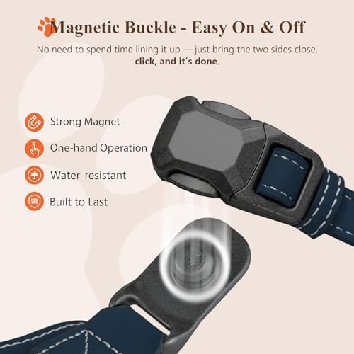 Magnetic Dog Collar and Leash Set with Quick Release Buckle, Easy On & Off Faux Leather Puppy Collar with 4FT Leash for Small, Medium Dog