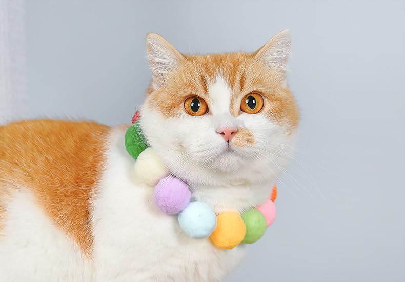 Cat Toy Ball Launcher Set Colorful Plush Toys Pom Pom Balls Cats Enrichment