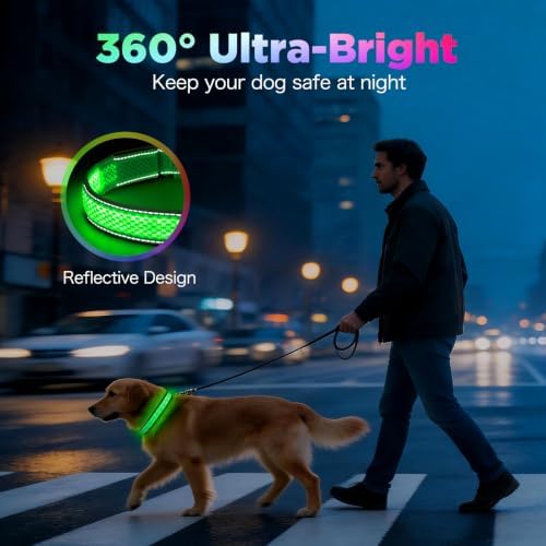 Flashseen Light up Collars for Dogs at Night, RGB 9-Mode, USB Rechargeable | Color Changing LED Lighted Dog Collar, Super Bright Adjustable Glow Collar for Night Walking (Lavender, Medium)
