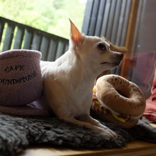 Houndstone Cappuccino & Saucer Interactive Dog Toy, with Squeaker & Crinkle Paper