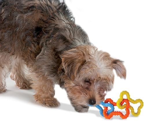 Pupstages Mini Bone Tug Dental Dog Chew Toy, Floppy & Textured, 6.3"