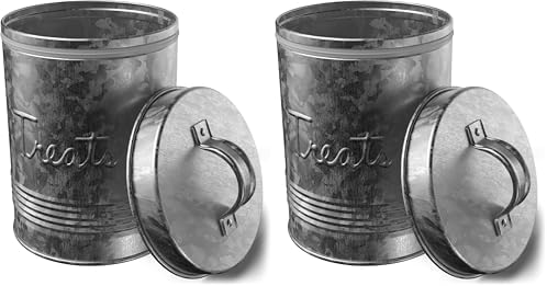 Amici Pet, Retro Treats Galvanized Relief Lettering Metal Storage Canister, Food Safe, Push Top, 72 Ounces (Pack of 2)