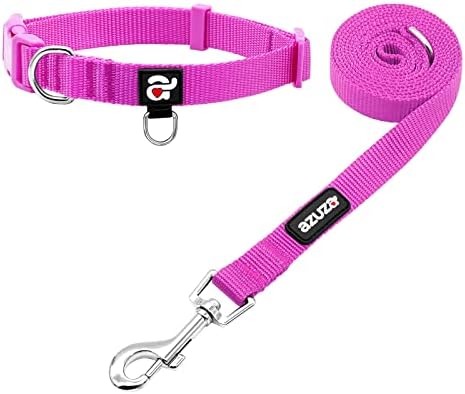 azuza Nylon Dog Collar and Leash Set, Strong & Durable Basic Style Leash and Collar with ID Tag Ring, Available in Multiple Lengths for Medium Dogs, Purple,M