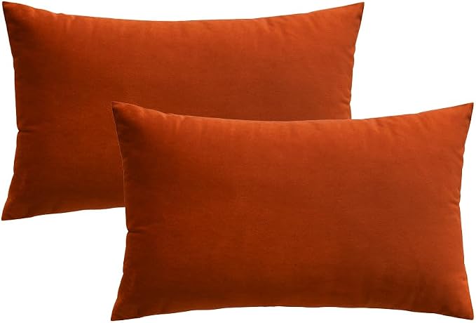 MIULEE 12x20 Inch Lumbar Velvet Fall Throw Pillow Covers Burnt Orange | Pack of 2 Soft Solid Decorative Pillow Covers, Modern Luxury Home Decor, for Chair Couch Sofa Bedroom Livingroom
