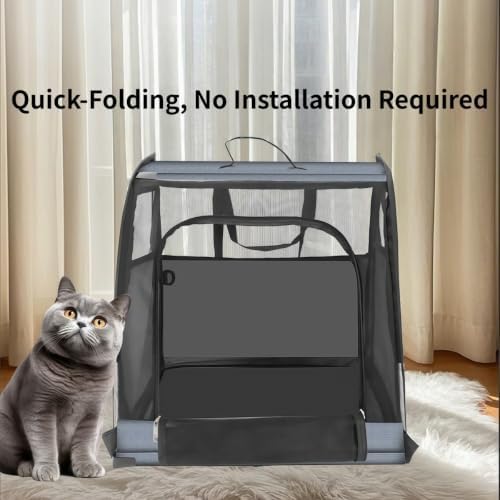 Collapsible Dog Crate Compatible with Smart fortwo A451 Coupe