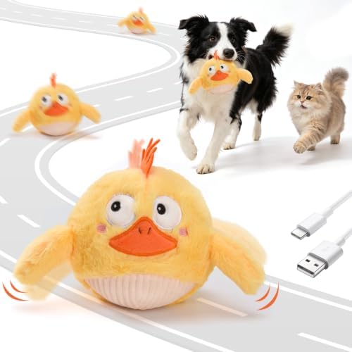 AUSCAT Interactive Moving Puppy/Cats Toys,Plush Bouncing Ball | Music & Recording | Rechargeable Self-Play Toys for Indoor Cats and Small Dogs to Keep Them Busy (Chicken)