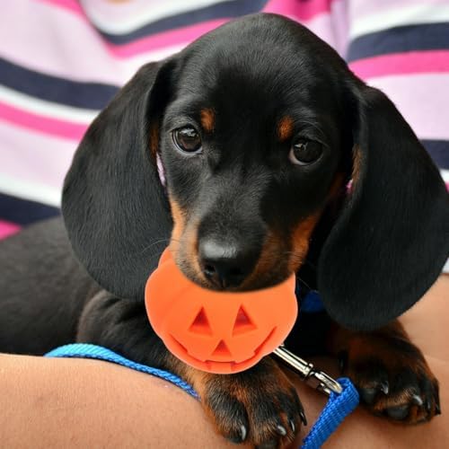 BESPORTBLE 4pcs Pumpkin Squeaky Dog Toy for Aggressive Chewers Funny Halloween Puppy Interactive Play Toys for Small/Medium/Large Dogs