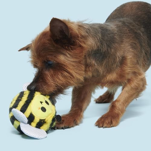 BarkBox Buzzy Body Dog Toy - Toy for Medium to Large Dogs