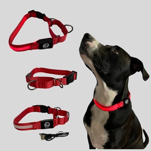 Light-Up Martingale Training Adjustable Dog Puppy Collar - REMIPET - Waterproof, LED Illuminated, USB Rechargeable, Reflective Safety, Durable, Nylon, Gift (Red, Large)