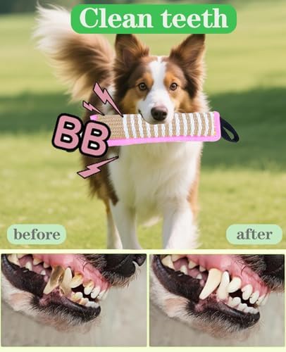 Clysoru Squeaky Tug Toy for Dogs Jute with 2 Strong Handles Lasting Training Equipment Puppy to Large Dog Interactive Toys of War Pull Indestructible Rope Pet Crinkle Teething