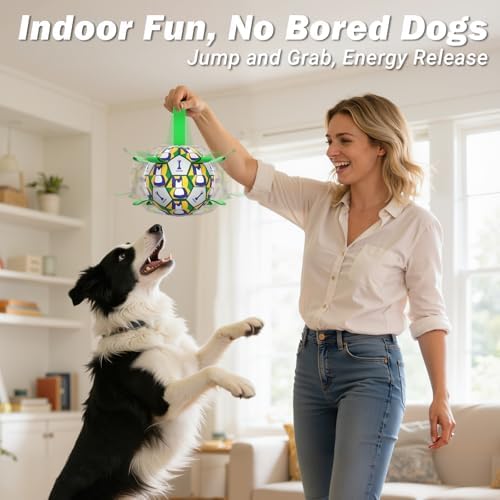 Dog Toy Balls, Dog Soccer Ball with Straps, Interactive World Cup Soccer Ball for Medium Dogs, Water Fetch Toys, Tug-of-War, Herding Ball Toys Outdoor, Dog Birthday Toy, Green (6 Inch)