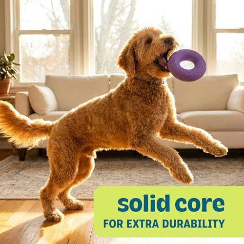 Flex-Force Ring Dog Toy for Fetch & Chew, Solid Core & Floats in Water, Vanilla-Roast Scent for Sensory Play, Power Chewers, All Breed Sizes, 4.6"