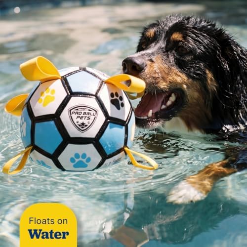 Interactive Dog Soccer Ball for Dogs, 6” with Straps & Grab Tabs, Floats on Water, Fetch & Training Toy for Small/Medium Dogs, Herding Breeds, Waterproof Non-Toxic – ProBall Pets – Blue Yellow