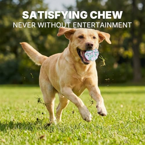 Dog Ball, Braided Dog Rope Ball, Dog Toys for Aggressive Chewers, 2 Packs