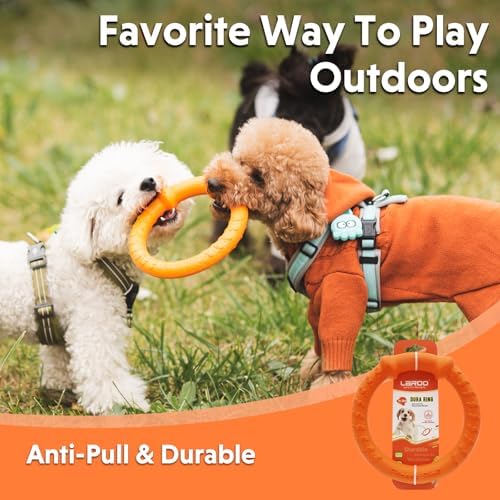 LaRoo Dog Chew Ring Toy for Small Dogs, Durable EVA Floating Puppy Teething Chew Toy, Interactive Tug of War Fetch Toy for Dental Cleaning & Outdoor Play (Orange)