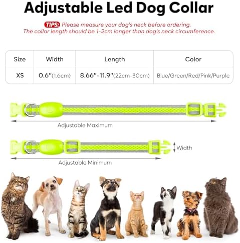 Flashseen LED Dog Collar, Light Up Dog Collar USB Rechargeable, Green, XS