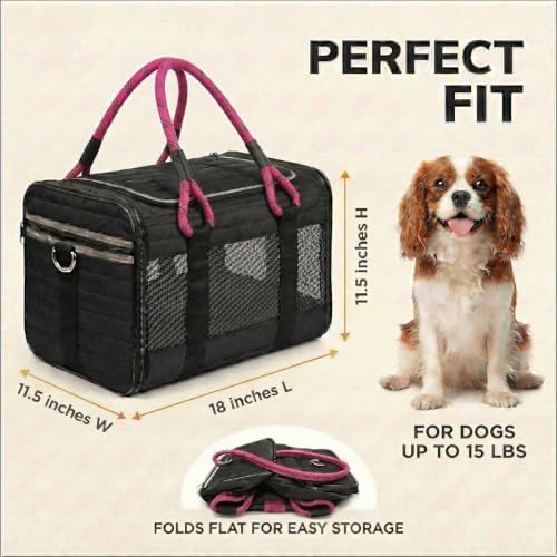 Soft-Sided Pet Carrier, Black Pink, 19.7 x 11.8 x 11.4 in