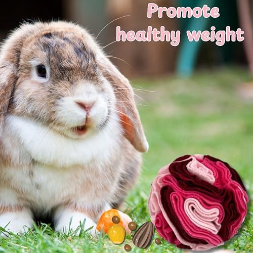 Rabbit Treat Ball Interactive Foraging Toys for Small Pet, Interactive Balls for Rabbits Guinea Pig Hedgehog Chinchilla Ferret Hamster Bunny, Rabbit Enrichment Toy, Rabbits Accessories (Romantic Pink)