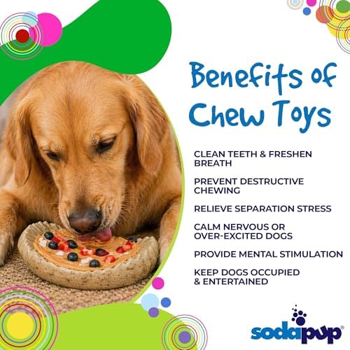SodaPup Potato Chip – Durable Dog Chew & Enrichment Toy Made in USA from Non Toxic Pet Safe Food Safe Nylon for Aggressive Chewers, Mental Stimulation, Clean Teeth, Fresh Breath, & Problem Chewing