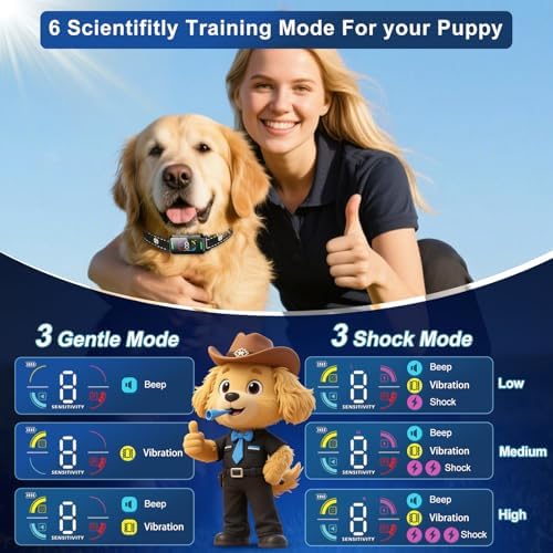 Bark Collar 2 Pack for Large Medium Small Dogs, Smart Automatic AI Bark Collar for Dogs,Effective Anti Barking Training Collar with IP67 Waterproof, 6 Safe Training Modes and 8- Level Sensitivity