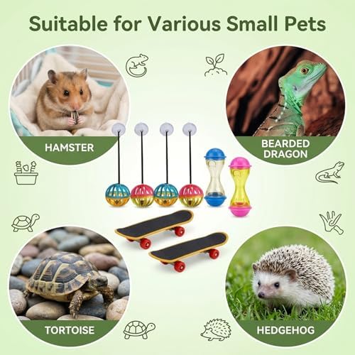 Bearded Dragon Toys, Bearded Dragon Enrichment Toys Set with Feeding Balls and Skateboards, Interactive Lizard Toy Accessories for Small Reptiles and Pets, 8-Piece Habitat Enrichment Kit
