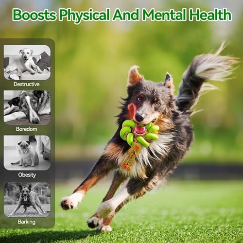 ALL FOR PAWS 6.1" Dog Ring Toy, Flying Ring for Fetch, Training & Outdoor Play, TPR Foam & Rope Dog Toy for Throwing, Catching, Tug Toys for Small, Medium & Large Dogs