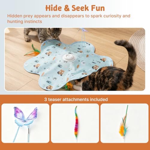 Interactive Cat Toys, Automatic Hide and Seek Feather Toy for Indoor Cats
