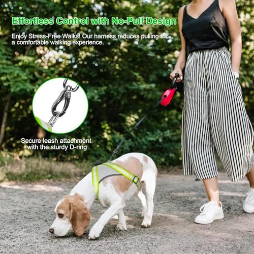 Visinite LED Dog Harness, USB Rechargeable Light Up Dog Vest, 2 Illuminate Modes Glow in The Dark Dog Harness, Adjustable Lighted Pet Harness Light for Night Walking Safety (Green, L)