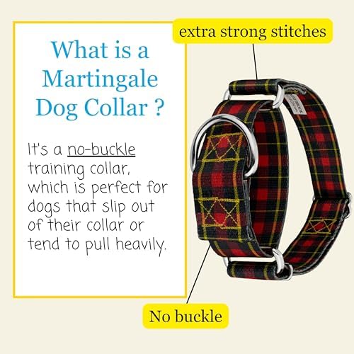 Country Brook Petz - HossFit Jr Wide Martingale Dog Collar - Plaid and Argyle Collection Featuring Charming Designs (Buffalo Plaid, Large)
