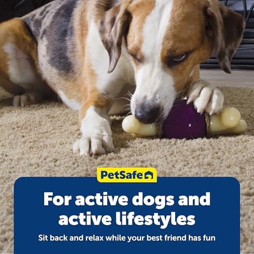PetSafe Busy Buddy Bouncy Bone Treat Holding Dog Chew Toy, Medium