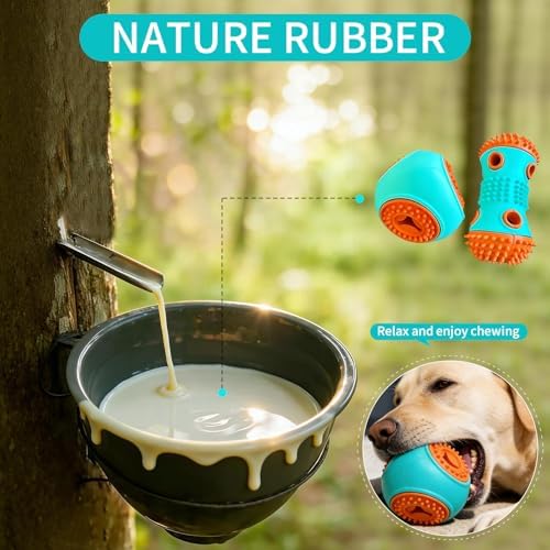 Dog Chew Toys 3 Pack, Squeaky Toy, Treat Dispensing Slow Feeder for Large and Medium Dog, Multifunctional Teeth Cleaning and Gum Massage (Dumbbell-Ball-Star)