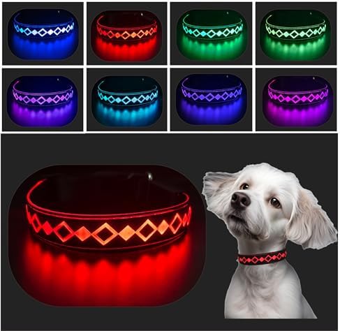 Personalized Flashing Night Dog Collar with Waterproof airtag Holder for Black Dog Night Walking (Black, M(11.8-15.7"))