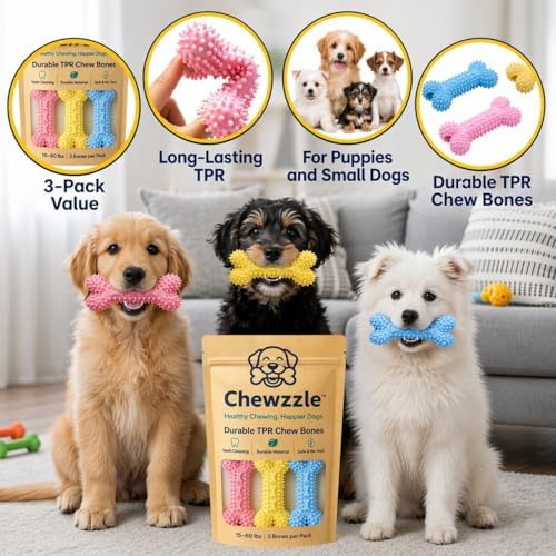 Chewzzle™ Durable TPR Dog Chew Toys | Safe Non-Toxic Toys for Small Breed Dogs (5-25 lbs) | Gentle to Light Chewers | SGS Tested