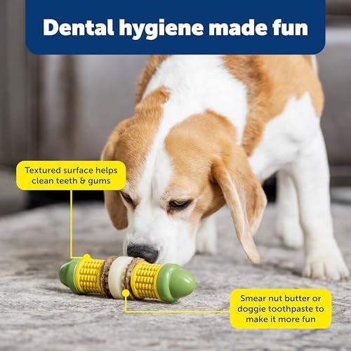 PetSafe Busy Buddy Cravin Corncob Treat Holding Dog Toy, Small/Medium