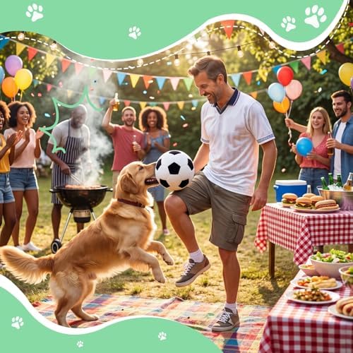 Blueweenly 2 Pcs Stuffed Soccer Ball Dog Toys, 6.3 Inch Squeaky Football Dog Toys, Soft Interactive Chew Indoor Outdoor Playing Supply for Small Medium Large Pet Rolling Tossing Chasing Games, White