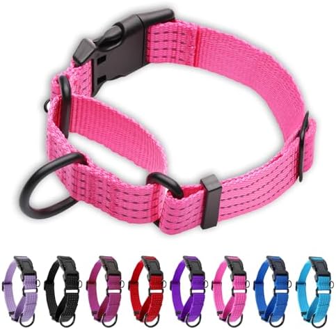 Martingale Dog Collar, Reflective No Pull with Buckle, Pink, M