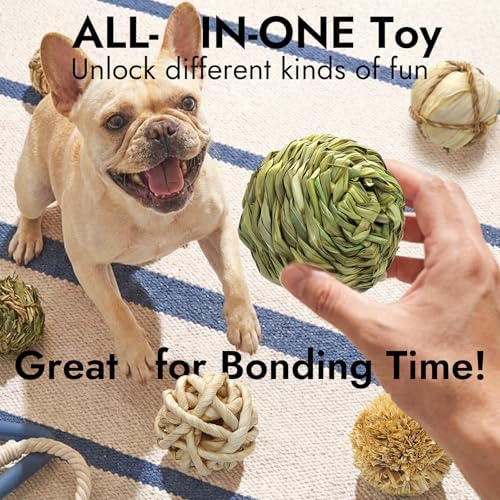 Natural Dog Chew Toy, 1pcs Woven Grass Chew Ball for Dogs, Dental Teething Toy & Interactive Fetch Toys, Outdoor Rattan Digestible Chew Ball for Boredom Relief - CornLeaf