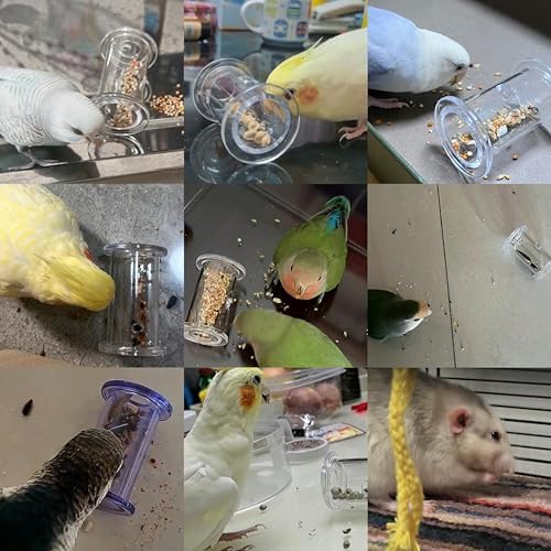Bird Foraging Toys, Interactive Parrot Puzzle Feeder for Mental Enrichment, Clear Acrylic Treat Dispenser Wheel for Small to Medium Birds, Cockatiel, Conure, Parakeet, Budgie (1 Pack)
